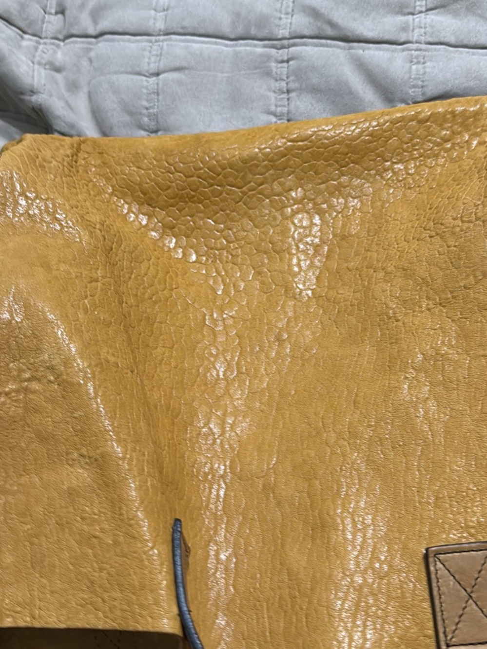 Mustard Yellow Textured Leather Bag